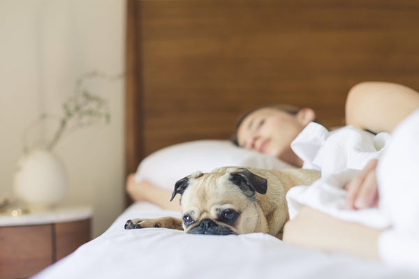Tips for Great Sleep