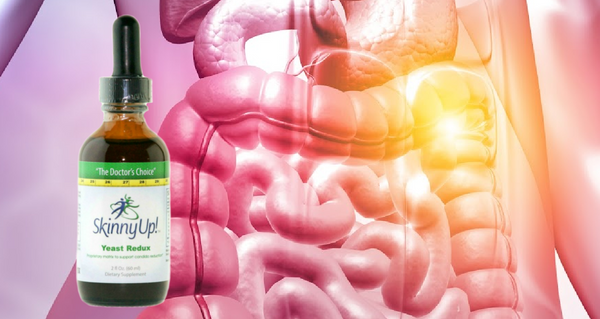 A few key take-aways of Inflammation and Gastrointestinal Candida colonization